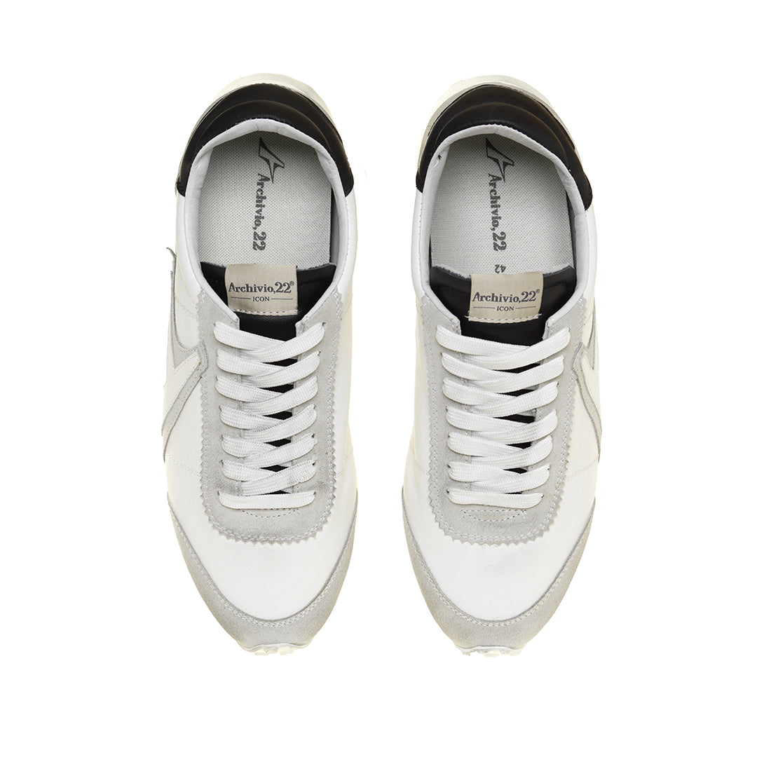 ICON-V