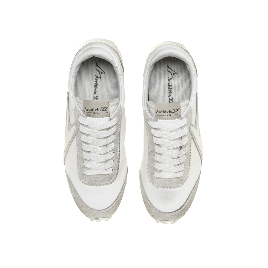 ICON-V